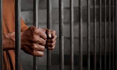 اليوم.. محاكمة طبيب لاتهامه بالاتجار في الأعضاء البشرية