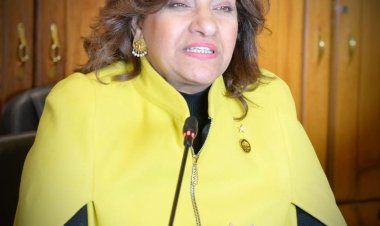 النائبة إيفلين متى تعرض مقترحا جديدا لحل أزمة ارتفاع أسعار أعلاف الثروة الحيوانية