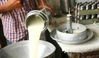 شعبة الألبان بغرفة الصناعات الغذائية تبحث التحديات الراهنة