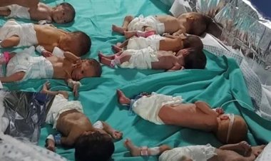 «ABC News» تعلن إخلاء مستشفى الشفاء ونقل 30 طفل من الأطفال الخُدج إلى المستشفيات المصرية