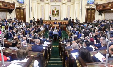 رئيس النواب يؤكد دعم توجيهات الرئيس السيسي المستمرة في حماية الرقعة الزراعية