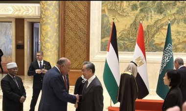 تنفيذا لقرارات قمة الرياض.. بدء تحرك عربي وإسلامي لوقف الحرب على غزة