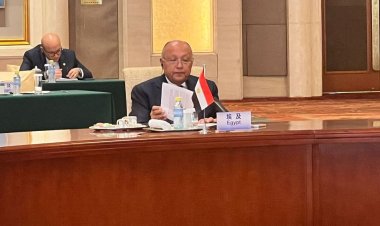 سامح شكري في بكين مع نائب الرئيس الصيني ووزير الخارجية