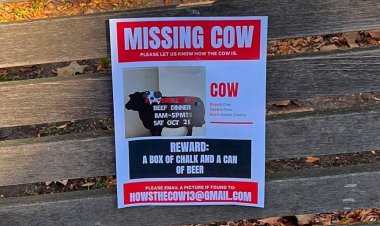 «البقرة المفقودة».. إسرائيل تعلق لافتات تسخر من  الأسري الإسرائيليين