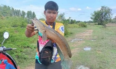 حربة تخترق رأسه.. صبي ينجو من الموت بأعجوبة