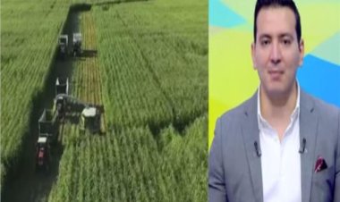 محمد القرش يوضح جهود الدولة لزيادة مساحة الأراضي الزراعية