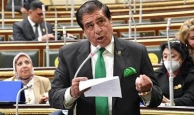 رئيس الشؤون العربية بالنواب: يوم 7 أكتوبر كسر مقولة جيش الاحتلال لا يُقهر