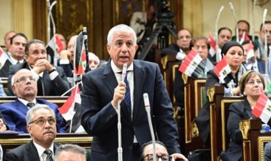 رئيس خارجية النواب: العدوان على غزة ودعوات التهجير القسري تشغل بال كل منزل في مصر