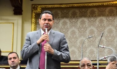 رئيس لجنة الزراعة بالنواب لـ«العاصمة»: نجاح تطبيق قانون التصالح مرتبط بتوفير الكوادر البشرية