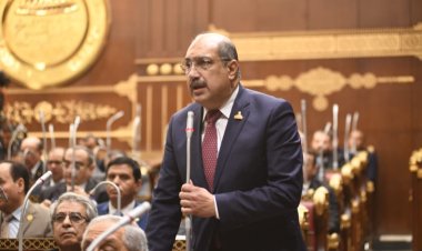 النائب إيهاب وهبة: التوصل إلى هدنة بغزة دليل قوى على نجاح الدبلوماسية المصرية