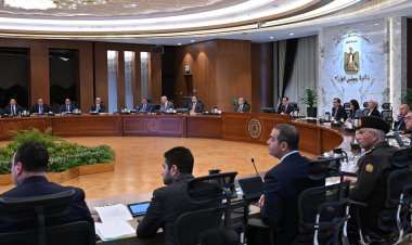 رئيس الوزراء يوافق على الاستراتيجية الوطنية للهيدروجين الأخضر