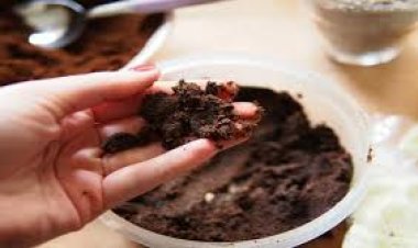 تعرف على فوائد بقايا القهوة