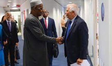 المبعوث الأممي إلى ليبيا يلتقي سفير الاتحاد الأوروبي