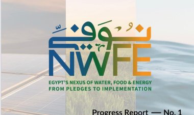 1.2 مليار دولار تمويلات إنمائية ميسرة ومنح تنموية لتعزيز قدرة مصر على الانتقال العادل للطاقة المتجددة