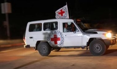 الصليب الاحمر يُعلن خروج مجمع ناصر عن الخدمة ويحذر من عملية عسكرية في رفح الفلسطينية