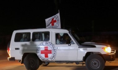 «القسام» يقود 13 أسيرًا إسرائيليًا و7 أجانب إلى الصليب الأحمر