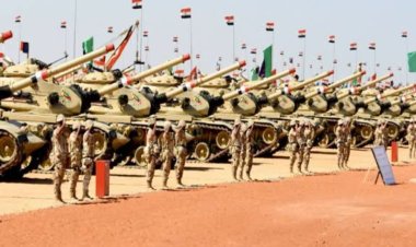 خبير إسرائيلي يشيد بقدرات الجيش والمخابرات المصرية