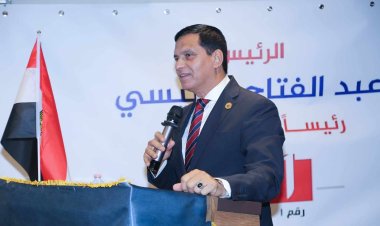 تفاصيل لقاء الأمين العام لحزب «حُماة الوطن» والجالية المصرية في إيطاليا