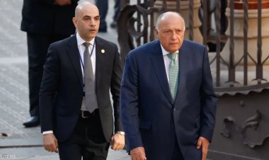 سامح شكري يشدد على ضرورة الضغط الدولي على إسرائيل لتحقيق وقف إطلاق النار في غزة