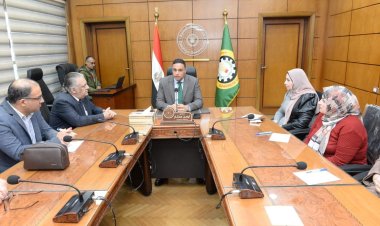 محافظ الدقهلية يتابع العمل بالمستشفيات والمنشآت الصحية