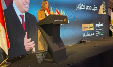 جيهان مديح: تمديد الهدنة بغزة تأكيد للدور المحوري والرائد لمصر في المنطقة