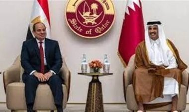 مساعد وزير الخارجية الأسبق: مصر وقطر لهما تأثيرًا كبيرًا على المقاومة الفلسطينية