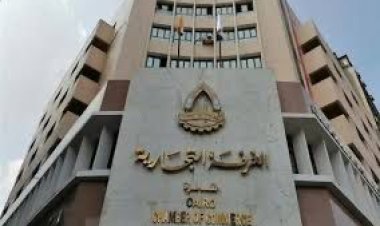 شعبة المستوردين: لم نصدر تصريحات بشأن العلاقات المصرية الخليجية