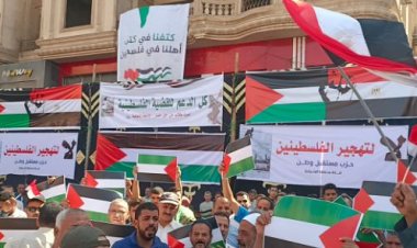 مصر تحيي اليوم العالمي للتضامن مع الشعب الفلسطيني