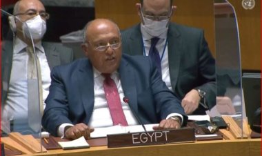 سامح شكري: مصر تكثف جهودها للتوصل إلى وقف إطلاق نار دائم في غزة