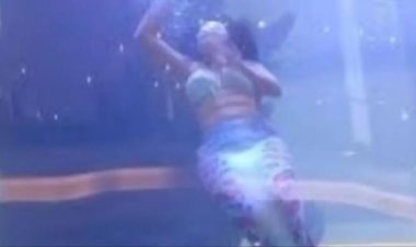 عروس بحر تنجو من الموت بأعجوبة