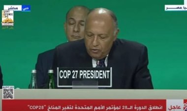 وزير الخارجية يعلن تسليم مصر رئاسة قمة المناخ لدولة الإمارات