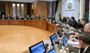 رئيس الوزراء يبرز جهود مصر بشأن التطورات في أحداث قطاع غزة