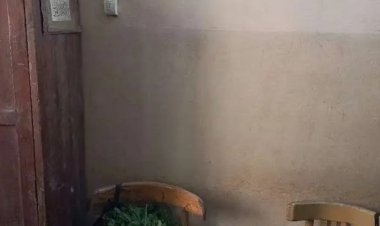 ماذا قالت «تعليم الدقهلية» عن واقعة «ملوخية الموظفين» داخل مدرسة؟