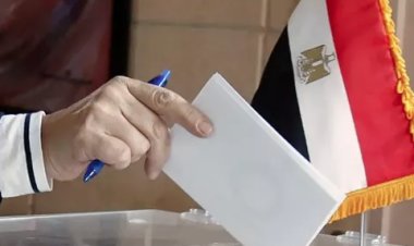 الانتخابات الرئاسية 2024.. سبب غلق جنوب السودان وسيراليون  لجان التصويت مبكرا أمام المصريين