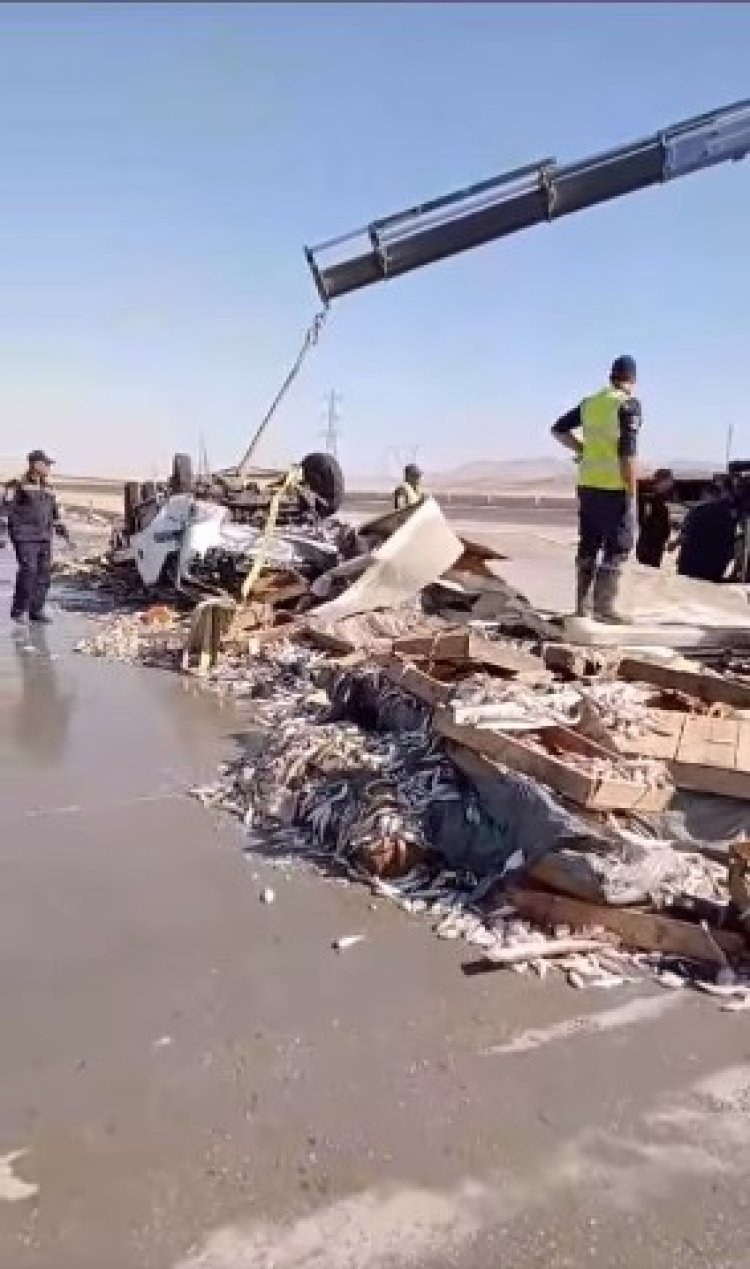 انقلاب سيارة محملة أسماك على طريق السويس 