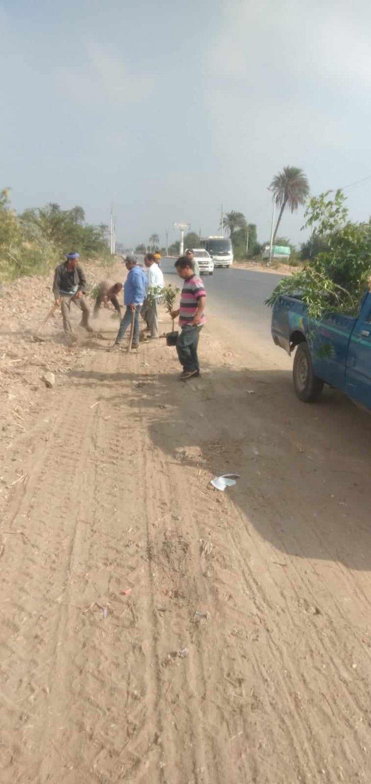 ضمن مبادرة «100 مليون شجرة» زراعة 105 شتلة مثمرة في مركز مطاي بالمنيا