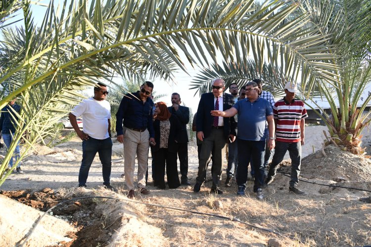 محافظ قنا يتابع أعمال رعاية النخيل البرحي والمجدول بمشروعات الأمن الغذائي