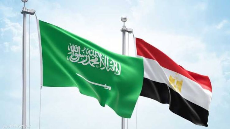 مقترح سعودي بإنشاء منصة استثمارية إلكترونية سعودية مصرية لخدمة المستثمرين