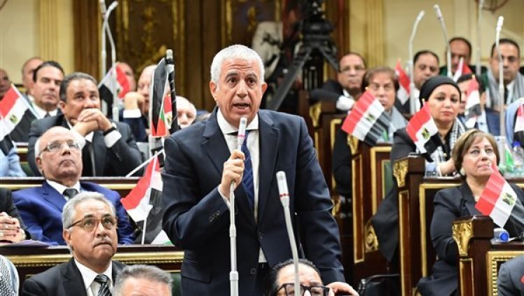 رئيس خارجية النواب: العدوان على غزة ودعوات التهجير القسري تشغل بال كل منزل في مصر