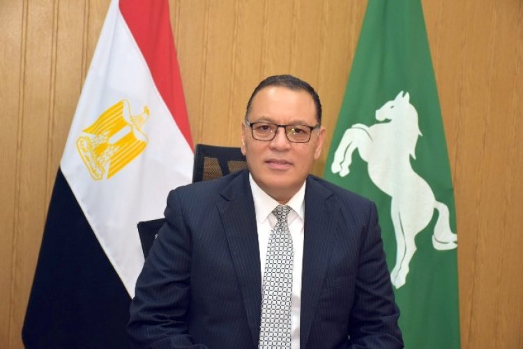بتكلفة 3 مليون و500 ألف جنيه.. محافظ الشرقية يتابع أعمال رصف وتطوير ورفع كفاءة الشوارع الداخلية بمركز ومدينة الإبراهيمية