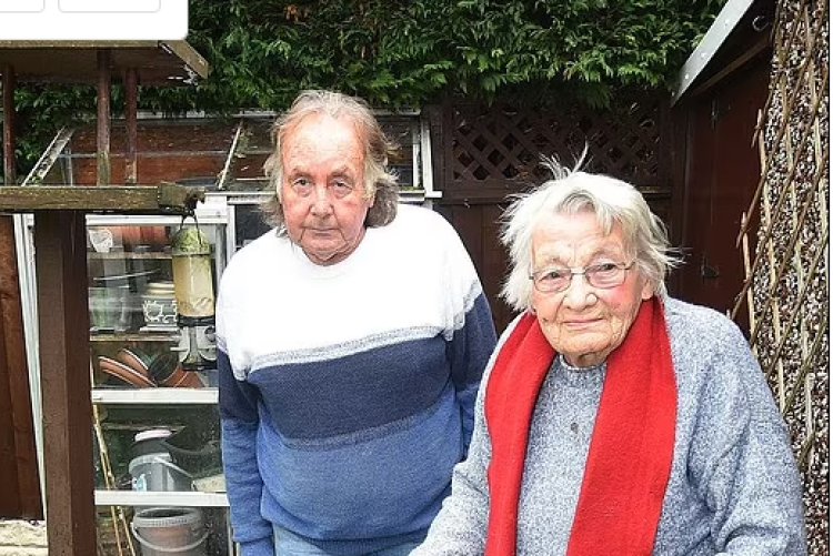 بسبب «الطيور».. اتهام امرأة مسنة  بـ «السلوك المعادي للمجتمع»