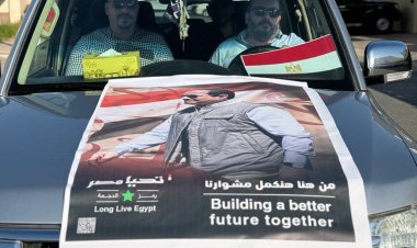 أستاذ قانون دولي: الوطنية للانتخابات سهلت عملية الاقتراع للمصريين بالخارج