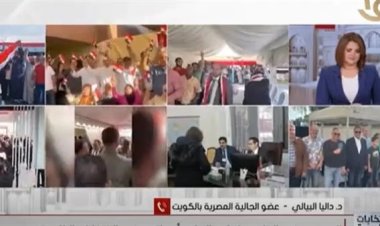 الجالية المصرية بالكويت: «المشاركة الانتخابية اليوم تفوق أي عملية سابقة»