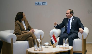 الرئيس السيسي يلتقي نائبة الرئيس الأمريكي.. وتوافق حول خطورة الأوضاع بغزة