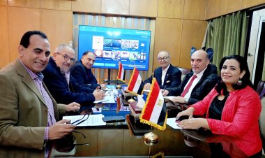 اتحاد المصريين بالخارج: دعم الرئيس السيسي سبب الحضور الكبير في الانتخابات