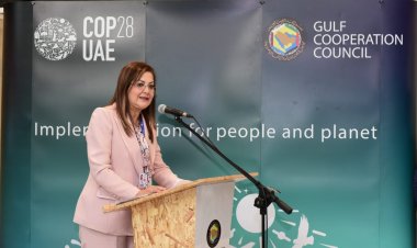 وزيرة التخطيط والتنمية الاقتصادية تشارك بالحدث الجانبي للمعهد العالمي للنمو الأخضر