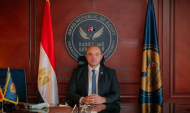 الرقابة المالية تصدر قرارًا لإتاحة وتنظيم استخدام الأنظمة الالكترونية