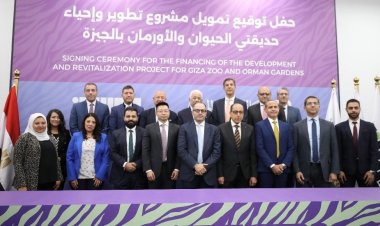 تحالف بين « البنك الأهلي» و«الصيني للتنمية» لتطوير حديقتي الحيوان والأورمان