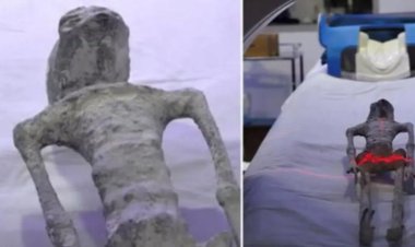 كائنات غريبة تحير العلماء في المكسيك