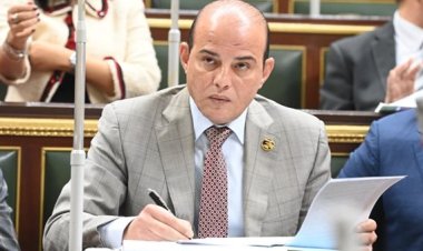 «برلماني»: معرض «إيديكس» يجمع الشركات العالمية في مجالات «الدفاع والتسليح»